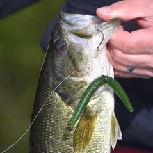 Load image into Gallery viewer, Wack'n Worm - Watermelon