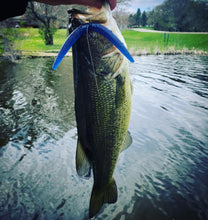 Load image into Gallery viewer, Wack&#39;n Worm - Midnight